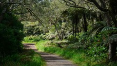 La Reunion copyright piotr nogal 20191218_093654 La Reunion copyright piotr nogal 20191218_093654