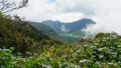 La Reunion copyright piotr nogal 20191218_124213 La Reunion copyright piotr nogal 20191218_124213