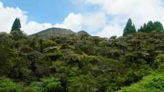 La Reunion copyright piotr nogal 20191218_124941 La Reunion copyright piotr nogal 20191218_124941