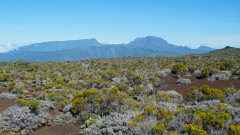 La Reunion copyright piotr nogal 20191219_083651 La Reunion copyright piotr nogal 20191219_083651