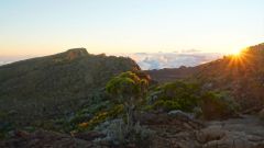La Reunion copyright piotr nogal 20191220_053437
