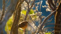 La Reunion copyright piotr nogal 20191220_053849