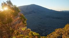 La Reunion copyright piotr nogal 20191220_054023