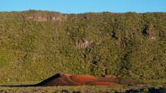 La Reunion copyright piotr nogal 20191220_055556 La Reunion copyright piotr nogal 20191220_055556