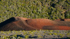 La Reunion copyright piotr nogal 20191220_055616 La Reunion copyright piotr nogal 20191220_055616