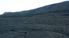 La Reunion copyright piotr nogal 20191220_060443