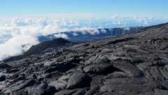 La Reunion copyright piotr nogal 20191220_073926 La Reunion copyright piotr nogal 20191220_073926