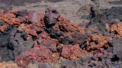 La Reunion copyright piotr nogal 20191220_090226 La Reunion copyright piotr nogal 20191220_090226