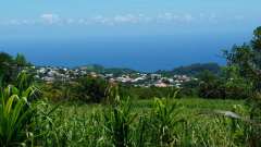 La Reunion copyright piotr nogal 20191221_122840
