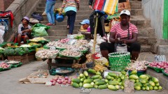 Madagaskar copyright piotr nogal 20190930_135334