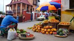 Madagaskar copyright piotr nogal 20190930_135403
