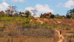 Madagaskar copyright piotr nogal 20191001_122103
