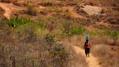 Madagaskar copyright piotr nogal 20191001_122119