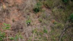Madagaskar copyright piotr nogal 20191001_124846