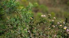 Madagaskar copyright piotr nogal 20191001_124952