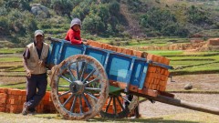 Madagaskar copyright piotr nogal 20191001_131102