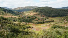 Madagaskar copyright piotr nogal 20191001_140852
