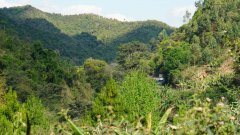 Madagaskar copyright piotr nogal 20191001_145811