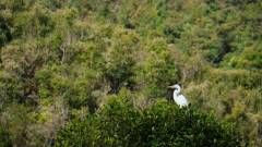 Madagaskar copyright piotr nogal 20191001_150123