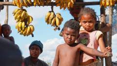 Madagaskar copyright piotr nogal 20191001_152027