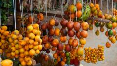 Madagaskar copyright piotr nogal 20191002_093704