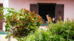 Madagaskar copyright piotr nogal 20191002_123955