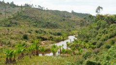 Madagaskar copyright piotr nogal 20191002_124818