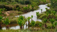 Madagaskar copyright piotr nogal 20191002_124823