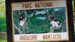 Madagaskar copyright piotr nogal 20191002_142441