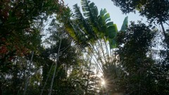 Madagaskar copyright piotr nogal 20191002_162210