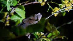 Madagaskar copyright piotr nogal 20191002_180937