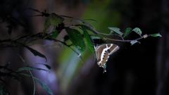 Madagaskar copyright piotr nogal 20191002_182616