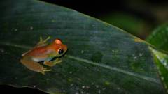 Madagaskar copyright piotr nogal 20191002_192755