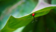 Madagaskar copyright piotr nogal 20191003_071755