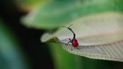 Madagaskar copyright piotr nogal 20191003_071837