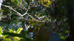 Madagaskar copyright piotr nogal 20191003_072141