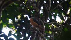 Madagaskar copyright piotr nogal 20191003_074654