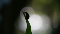 Madagaskar copyright piotr nogal 20191003_075208