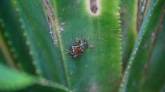 Madagaskar copyright piotr nogal 20191003_080253