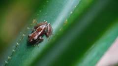 Madagaskar copyright piotr nogal 20191003_080336