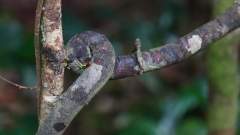 Madagaskar copyright piotr nogal 20191003_080834