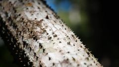 Madagaskar copyright piotr nogal 20191003_092453
