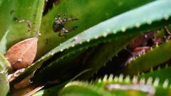 Madagaskar copyright piotr nogal 20191003_093806