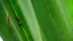 Madagaskar copyright piotr nogal 20191003_094644