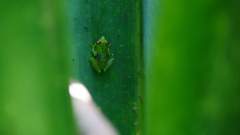 Madagaskar copyright piotr nogal 20191003_094858