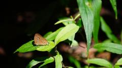 Madagaskar copyright piotr nogal 20191003_095300