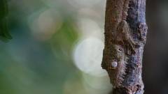 Madagaskar copyright piotr nogal 20191003_102344
