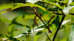 Madagaskar copyright piotr nogal 20191003_104936