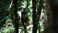 Madagaskar copyright piotr nogal 20191003_110736