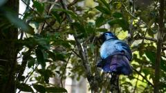 Madagaskar copyright piotr nogal 20191003_122547